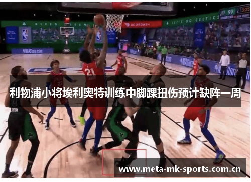 利物浦小将埃利奥特训练中脚踝扭伤预计缺阵一周 利物浦小将埃利奥特训练中脚踝扭伤预计缺阵一周